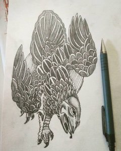 鹰纹身手稿