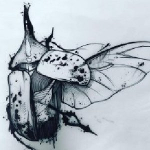 甲壳虫纹身手稿