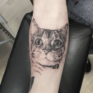 小臂黑灰猫咪肖像纹身图案