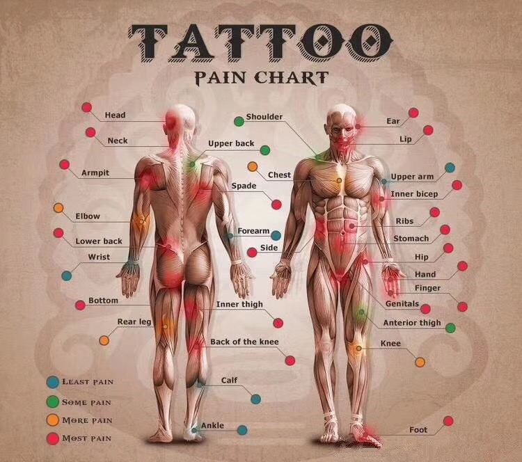纹身各部位疼痛等级情况示意图